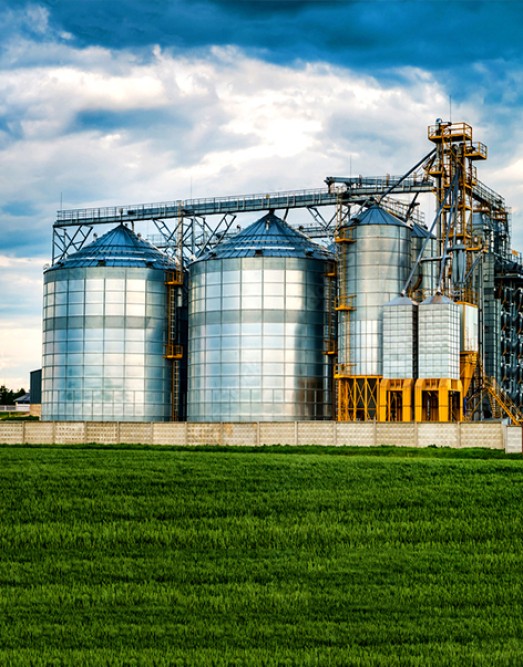 Multi-Crop Processing Plant, NIGERIA